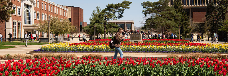 North Quad View of ISU in the spring